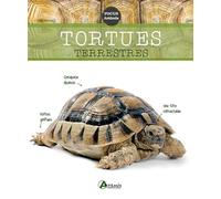 Artemis – Tortues terrestres