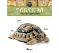 Artemis – Tortues terrestres