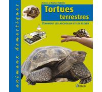 Tortues terrestres: Comment les accueillir et les élever