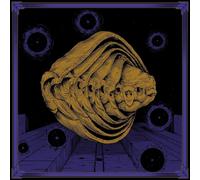 Tortuga Iterations (CD) Album Digisleeve