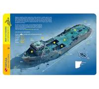 Tortuga Miami-Dade Florida Reef Smart Waterproof Dive Card