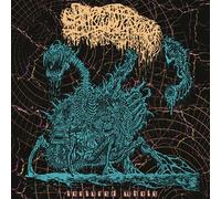 Tortured Whole
