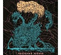 Sanguisugabogg - Tortured Whole