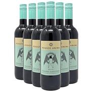 Toscane Belial Sangiovese - Rouge 2019 - Poggio Anima - Vin Rouge d'Italie (6x75cl)