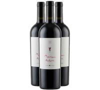 Toscane Rien Ne Vaut La Vie Cabernet Sauvignon - Rouge 2022 - Fuori Mondo - Vin Rouge d'Italie (3x75cl)