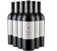 Toscane Rien Ne Vaut La Vie Cabernet Sauvignon - Rouge 2022 - Fuori Mondo - Vin Rouge d'Italie (6x75cl)