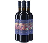 Toscane Syrah Per Sempre - Rouge 2020 - Casa Tua Rita - Vin Rouge d'Italie (3x75cl)