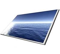 Toshiba Mini NB300-10M 10.1 pour ordinateur portable LCD Écran LED