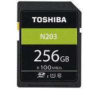 Toshiba SD Exceria R100 N203 256GB