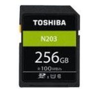 Toshiba Sd Exceria R100 N203 256gb