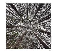 Toshihiko Mori - Jinen