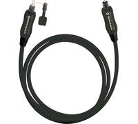 Toslink audio numérique Câble de raccordement [1x Toslink mâle (ODT) - 1x Toslink mâle (ODT)] 3.