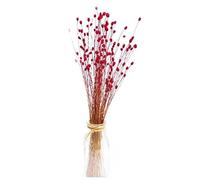 TOSSPER 50pcs Véritable Fleur Petite Fleurs Séchées Naturelles Bouquet Fleurs Sèches Presse Mini Photographie Décorative Photo Décor Photo Décor, Rouge, 25-35cm.