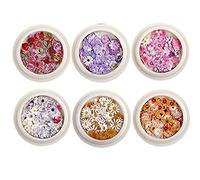 TOSSPER 6box Ongle Real Fleur Séchée Réglage Mini Naturel Véritable Fleurs Sèches Applique pour Décoration De Ongles Décoration Decoration Sticker