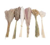 Tosuny Bouquet de Fleurs Séchées Polyvalentes, Arrangement Décoratif d'herbe de Pampa pour la Maison, Le Printemps, 17,7 Pouces (Type 1)
