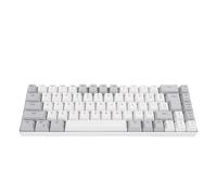 Tosuny Clavier de Jeu Filaire à 60%, 68 Touches RVB Clavier de Jeu Compact RVB, 25 Touches Anti-fantômes et 12 Touches Multimédias, Fiche et Lecture USB, pour Wins, OS X (Bloc de Couleur Blanc Gris)
