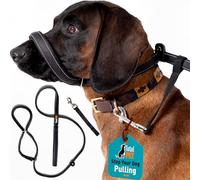 Total Pet Lot de 8 laisses plates anti-traction pour chien - Réfléchissantes avec support de nez rembourré (210 cm)