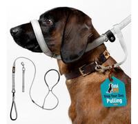 Total Pet Lot de 8 laisses plates pour chien avec mécanisme pivotant anti-enchevêtrement, anti-traction, anti-traction, laisse réfléchissante avec support de nez rembourré - 210 cm