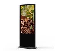Totem vidéo 65'', 4K, 700 cd, 24h/7j, Indoor