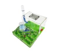 TOTIKI Ferme à Fourmis Château De Fourmis en Acrylique, Élevage, Nid Hydratant, Observation Scientifique, Bricolage Fourmilière(Grün)