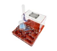 TOTIKI Ferme à Fourmis Château De Fourmis en Acrylique, Élevage, Nid Hydratant, Observation Scientifique, Bricolage Fourmilière(Rot)