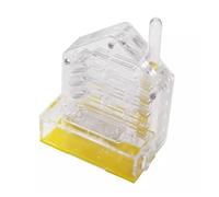 TOTIKI Ferme à Fourmis Château De Fourmis, Kit D'éducation Et d'apprentissage des Sciences Naturelles, Habitat en Acrylique, Ferme, Chalet Fourmilière