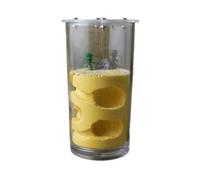 TOTIKI Ferme à Fourmis Ferme De Fourmilières Château Fourmis en Plâtre Alimentation Eau Habitat Nid Fourmilière Fourmilière(Yellow)