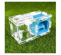 TOTIKI Ferme à Fourmis Nid De Fourmis, Expérience Scientifique Ferme, D'insectes Formicarium pour Outils D'éducation Fourmilière(Blue)