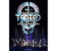 Steve Porcaro - Toto 35th Anniversary Tour. Live from Poland