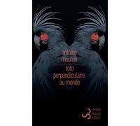 Toto perpendiculaire au monde - Antoine Mouton - Bourgois - broché - Roman