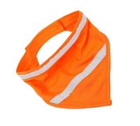 Totority Bandana Réfléchissant en Polyester pour Chien Séchage Rapide Bandes Réfléchissantes, et Facile à Nettoyer, Balades Nocturnes