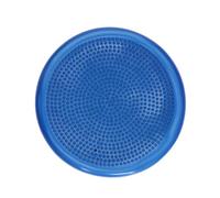 Totority Coussin D'équilibre Gonflable en Pvc pour Garçon et Filles, Disque Oscillant Épais, Améliore la Posture et Favorise la Stabilité du Tronc Lors des Exercices