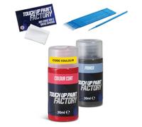 Touch Up Paint Factory - Kit de réparation de rayures tout-en-un, peinture automobile mélangée selon le code couleur pour tous les modèles - Correspondance exacte garantie Version Plus (moyen format)