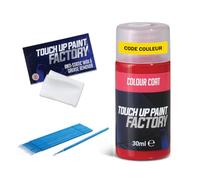 Touch Up Paint Factory - Kit de réparation de rayures tout-en-un, peinture automobile mélangée selon le code couleur pour tous les modèles - Correspondance exacte garantie