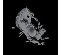 Touche Amore - Dead Horse X