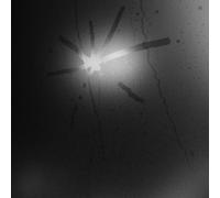 Touche Amore - Spiral I a Straight Line (Lp)