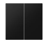 Touche double LS noir mat (référence : JUNG LS995SWM)
