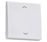 Touche simple bouton-poussoir volet A, couleur blanc alpin (référence : JUNG A101PWW)