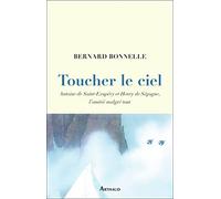 Toucher le ciel: Antoine de Saint-Exupéry et Henry de Ségogne, l'amitié malgré tout