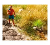 Noch Lot de 25 touffes d'herbe professionnelles « rocheuses » 6 mm pour dioramas H0/TT/N/Z