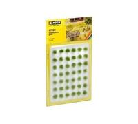 Touffes d'herbe vert