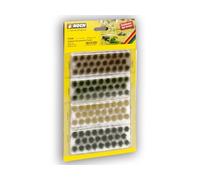 Touffes d'herbes aux Teintes ternes