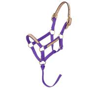 Tough 1 Licol Miniature Robuste 1 en Nylon, 50-732-10-0, Violet, L