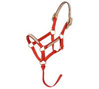 Tough 1 Licol Miniature Robuste 1 en Nylon, 50-732-5-0, Rouge, L