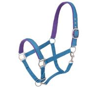 Tough 1 Licol rembourré en Nylon avec matériel satiné, Turquoise, Yearling