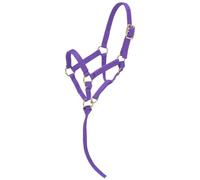 Tough 1 Mini Licol en Nylon, Violet, Taille L
