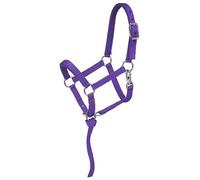 Tough 1 résistant 1 en Nylon rembourré Licou de Miniature, Violet, Moyen