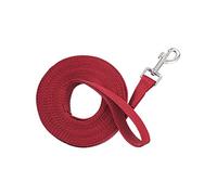 Tough 1 résistant 1 Nylon Web Longe, Red