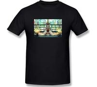 Touhou Project 3D Print Short Sleeve Fashion T Shirt for Men 100% Cotton Manches Courtes(Medium)