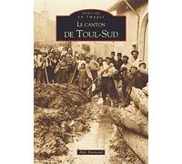 Toul-Sud (Le canton de)